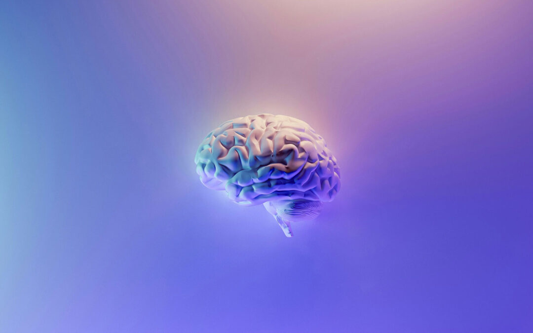 Understanding the Impact of Childhood Trauma on Brain Development